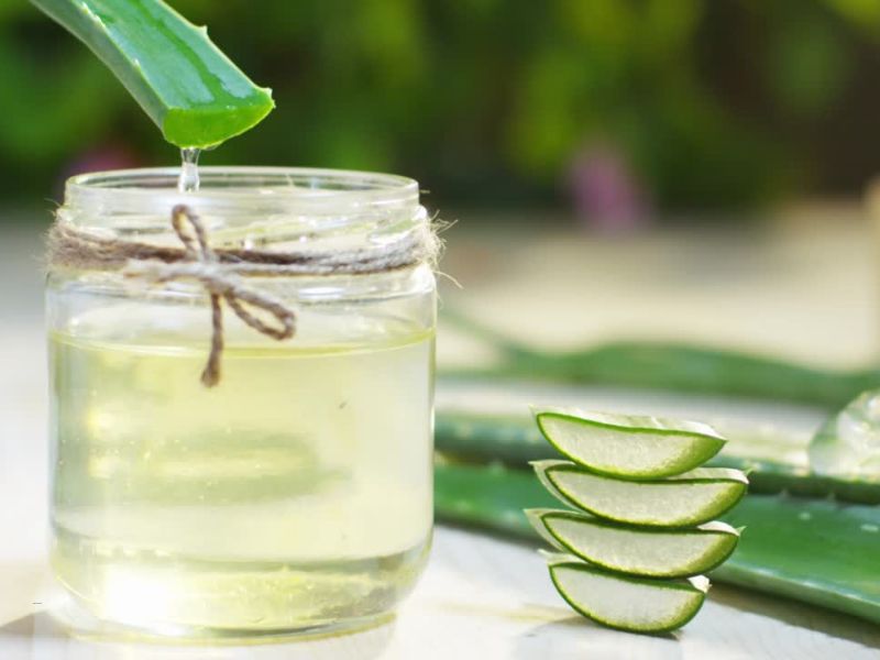 Aloe vera i gel aloe vere u teglici